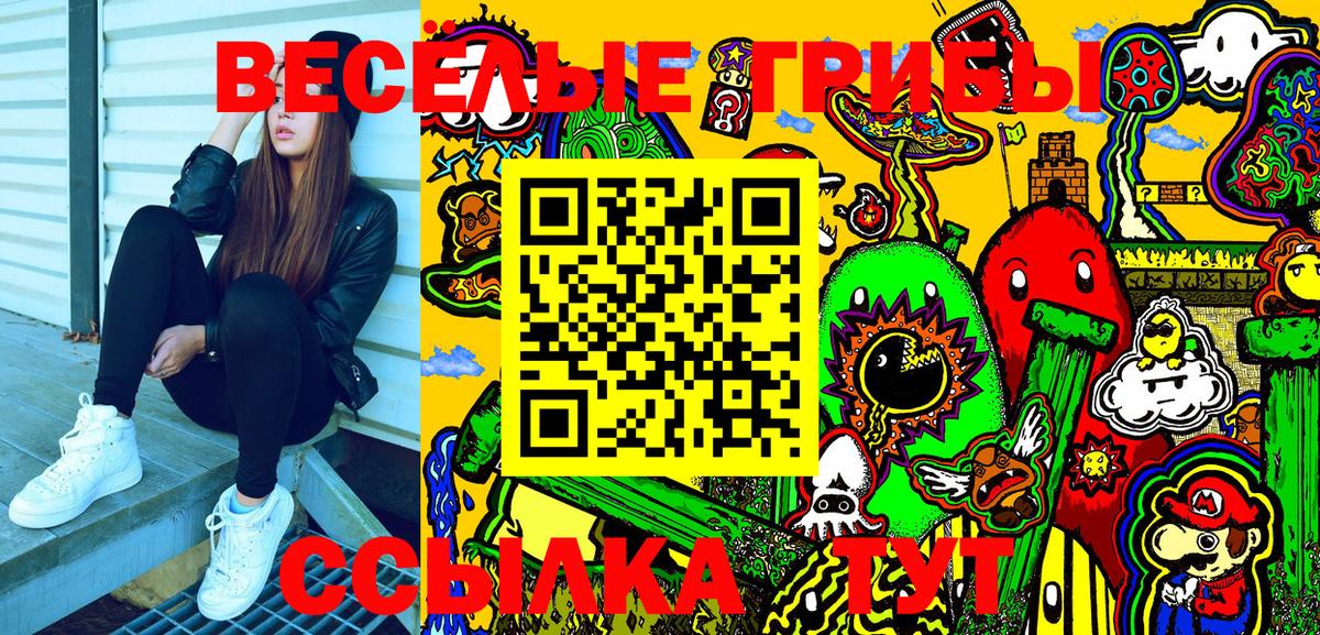 Галлюциногенные грибы Psilocybe  Вход с VPN  Нижнекамск 