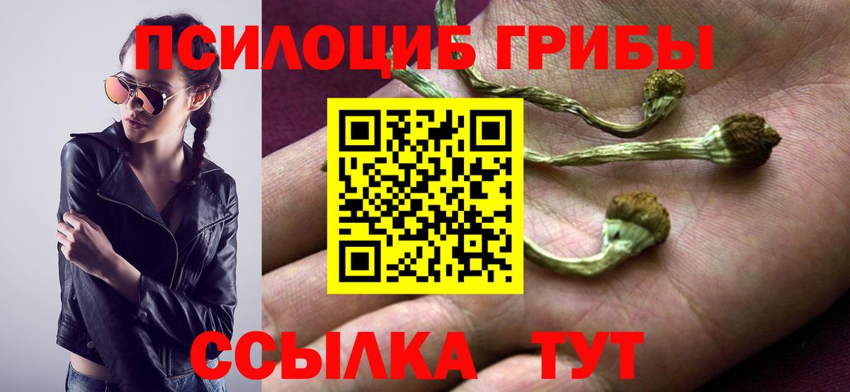 Псилоцибиновые грибы мухоморы Нижнекамск